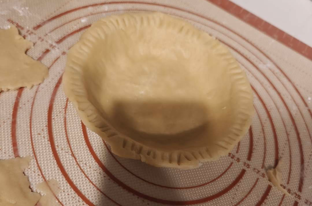 The shell